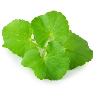 Centella