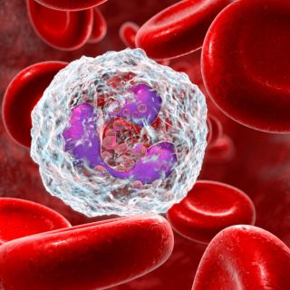 Miglioramento della Circolazione